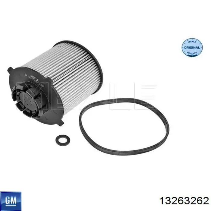 13263262 General Motors Фільтр палива