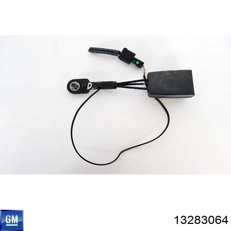 Купити 13283064 General Motors 