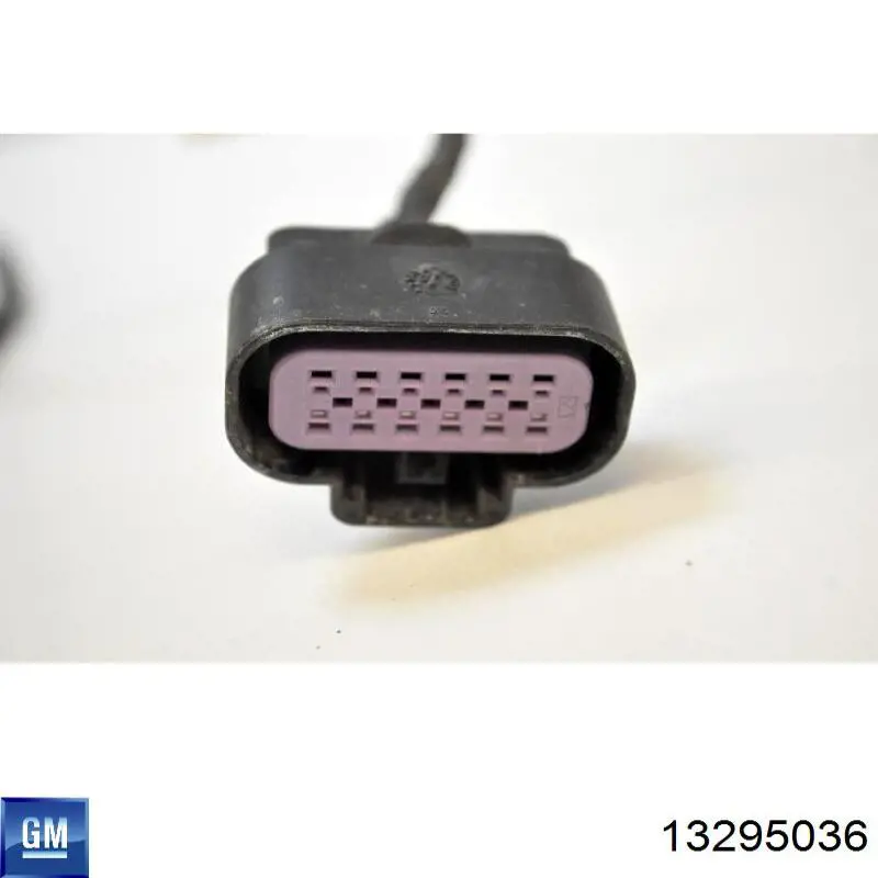 13295036 General Motors 
