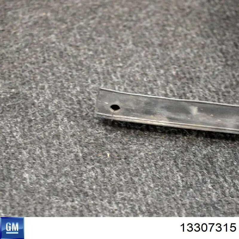 Купити 13307315 General Motors 
