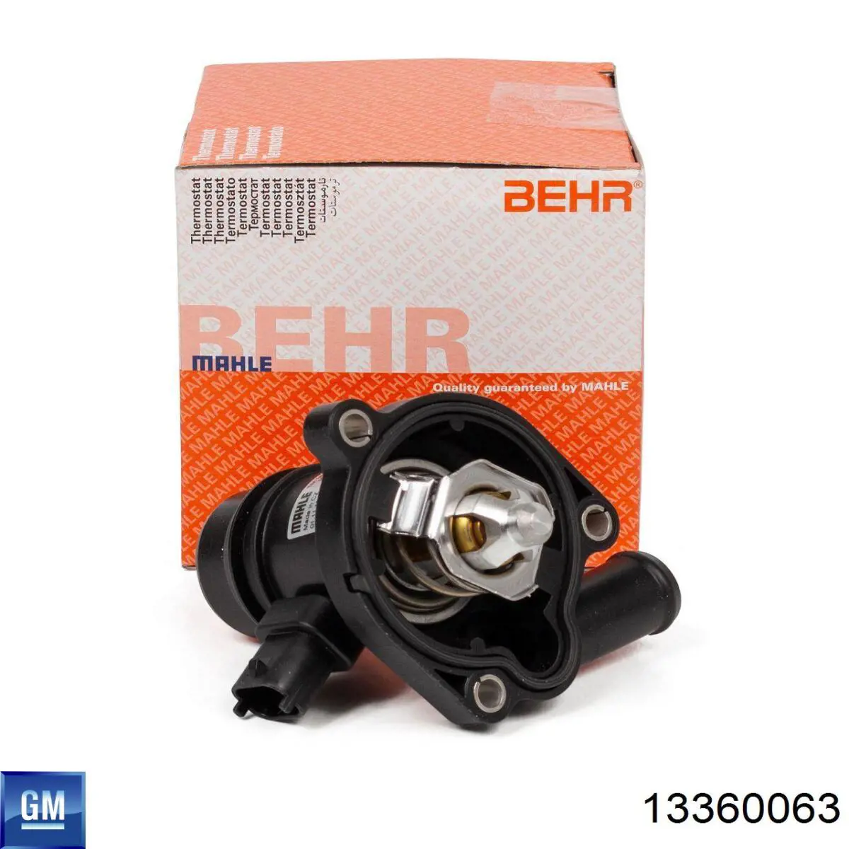 Бачок системи охолодження 13360063 General Motors