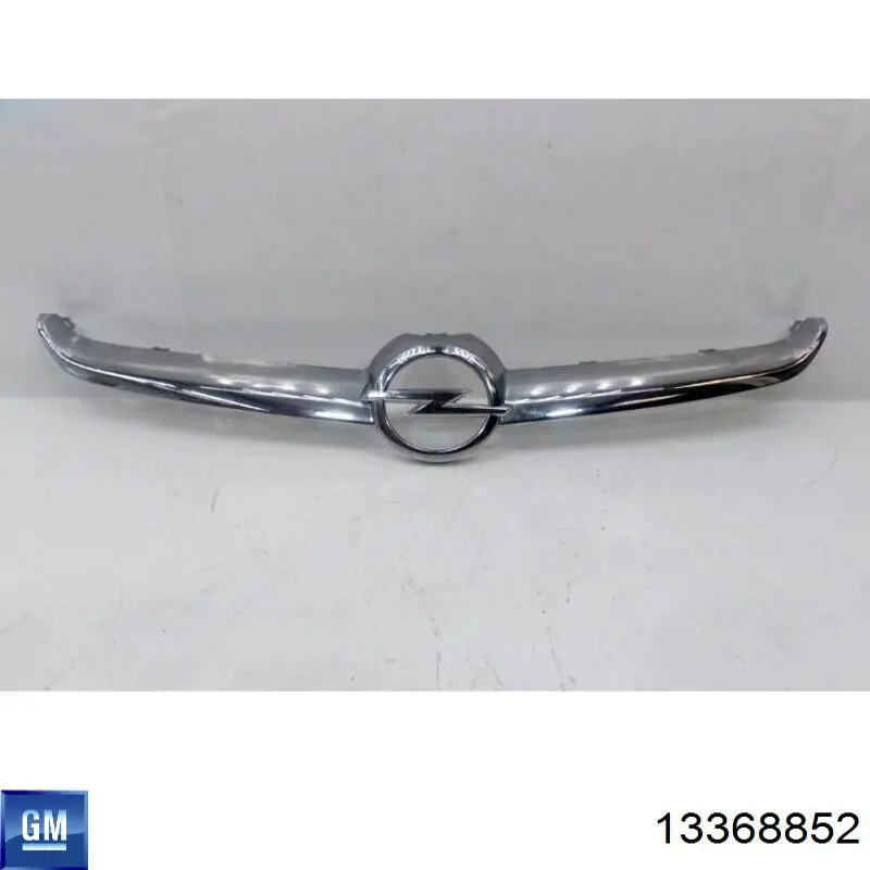 Купити 13368852 Opel Захисна решітка радіатора
