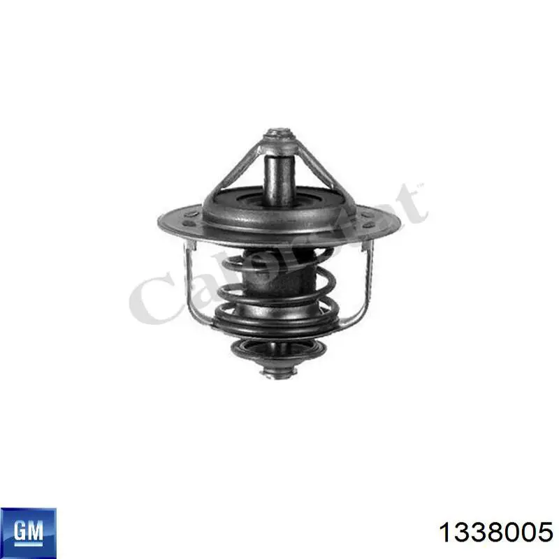 1338005 General Motors Авто термостат