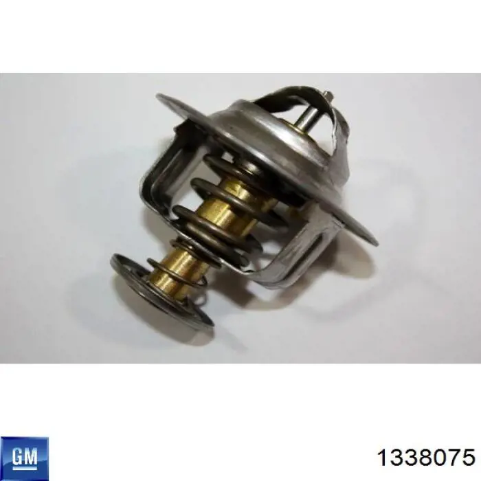 Купити 1338075 General Motors Термостат в корпусі
