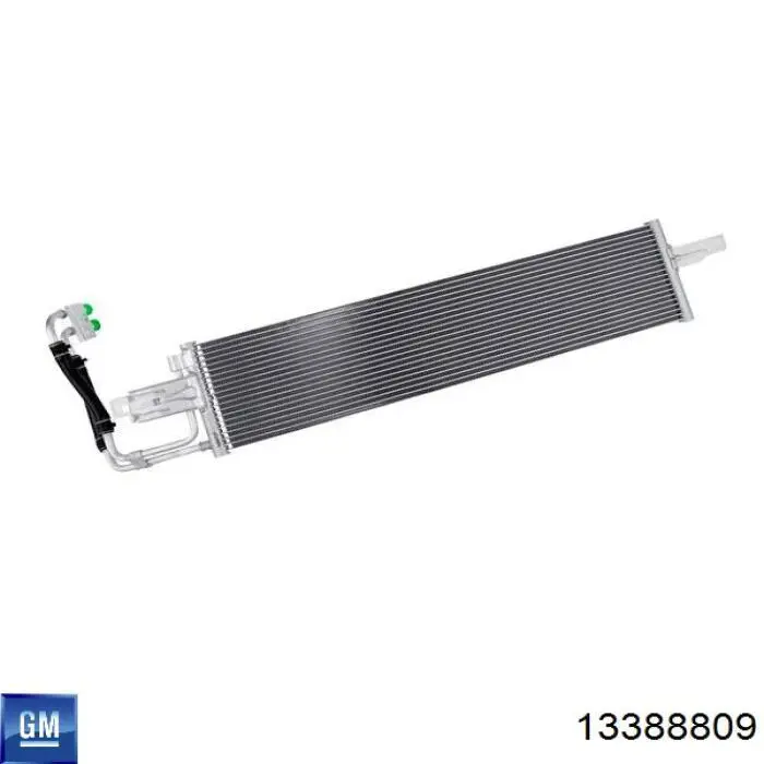 Купити 13388809 General Motors Направляюча щупа-індикатора рівня масла в двигуні