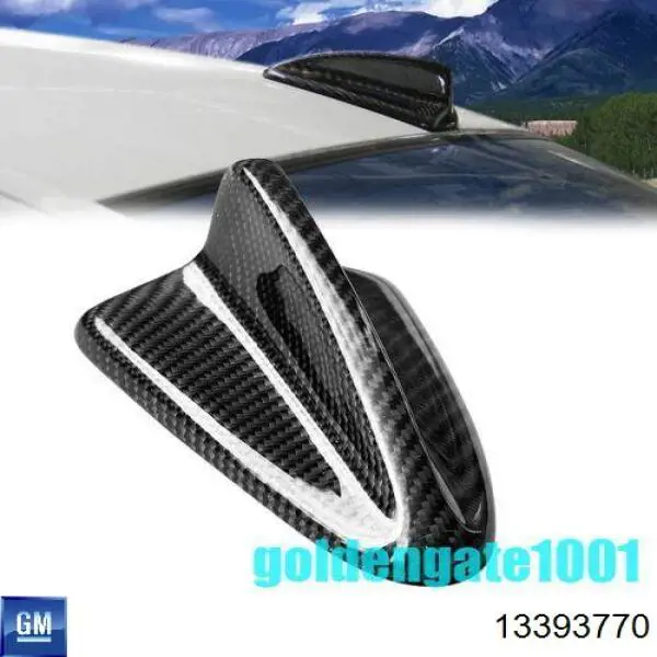 13393770 General Motors 