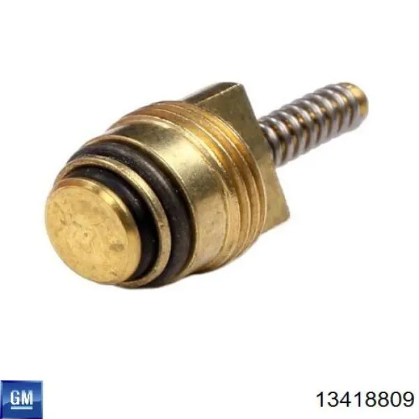 Купити 13418809 General Motors 