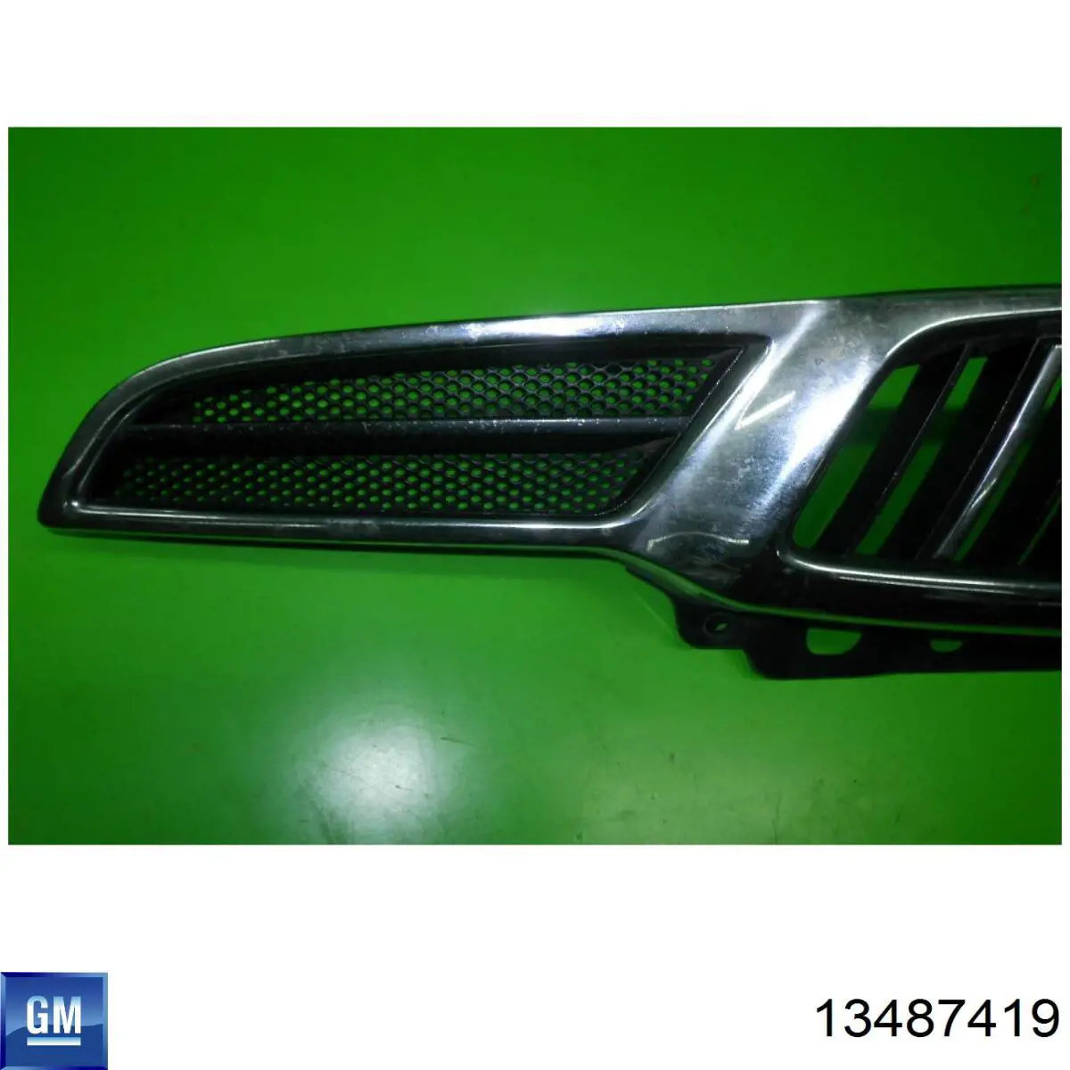  General Motors 13487419