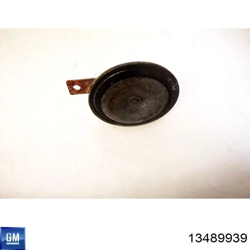Купити 13489939 Opel 