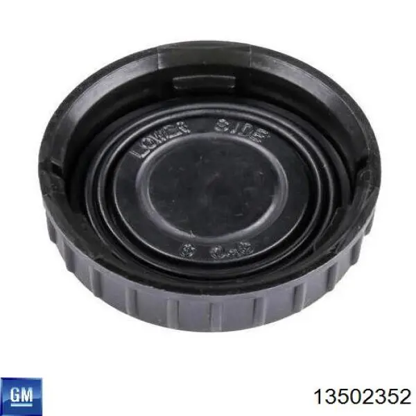 Купити 13502352 General Motors 