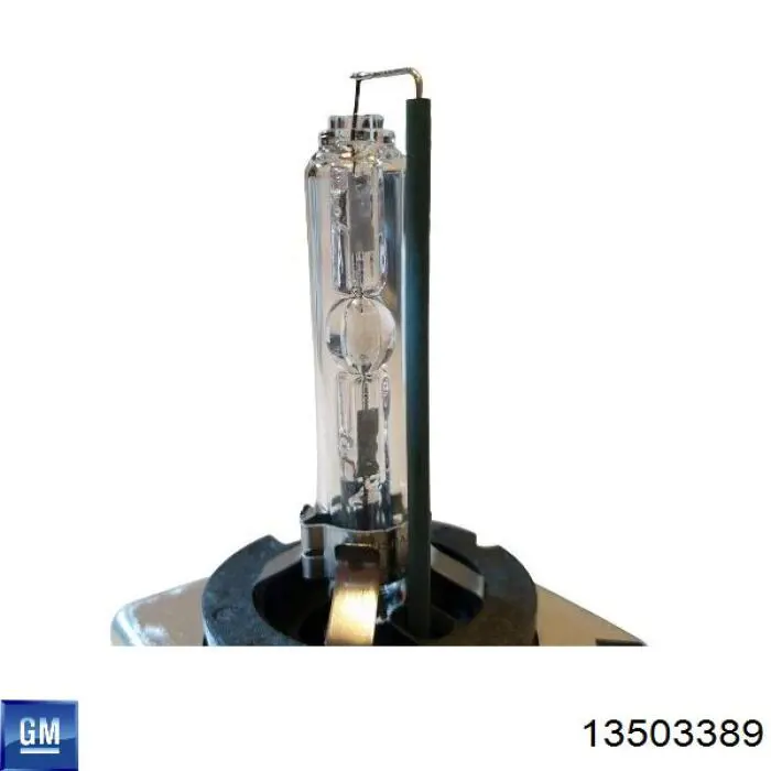 Купити 13503389 General Motors Лампочка ксеноновая