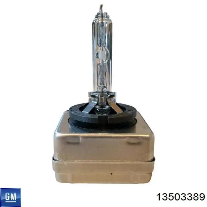 Лампочка ксеноновая 13503389 General Motors