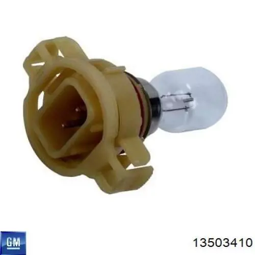Купити 262920539R Renault (RVI) Лампочки