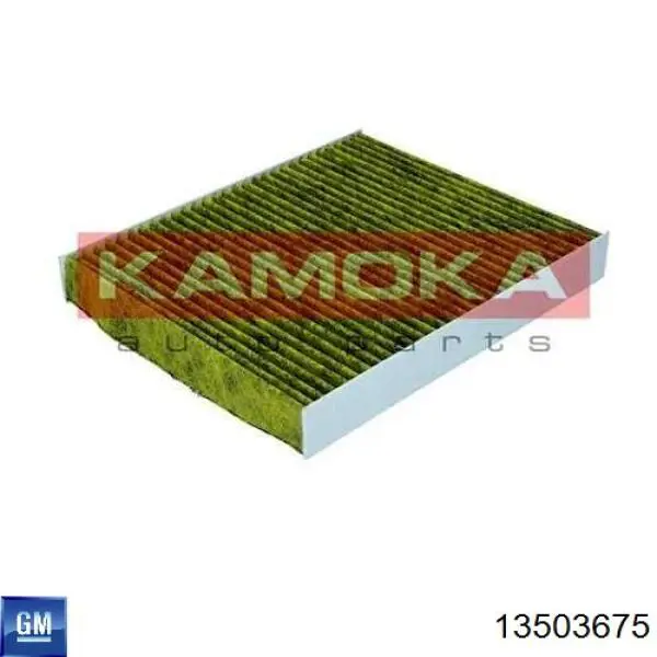 Купити 13503675 General Motors Фільтр салону вугільний