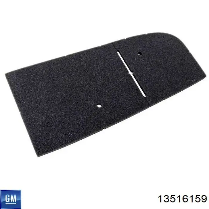 Купити 13516159 General Motors 