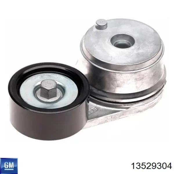 Купити 13529304 General Motors 