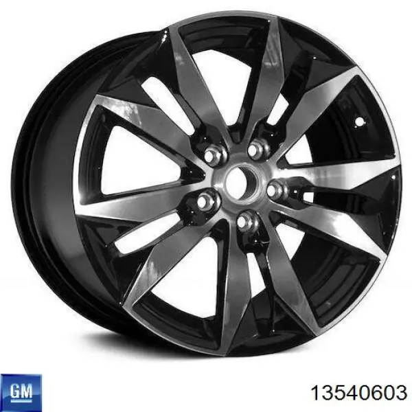  General Motors 13540603