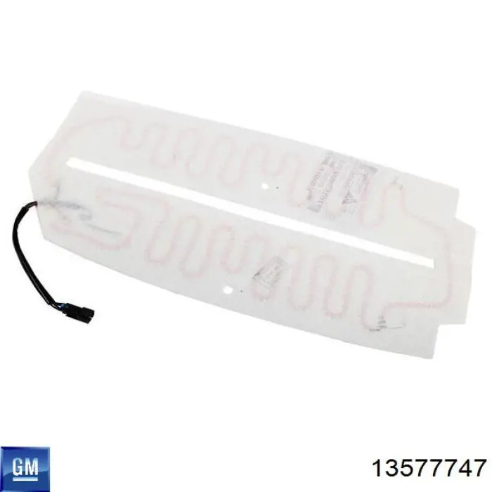 13577747 General Motors 