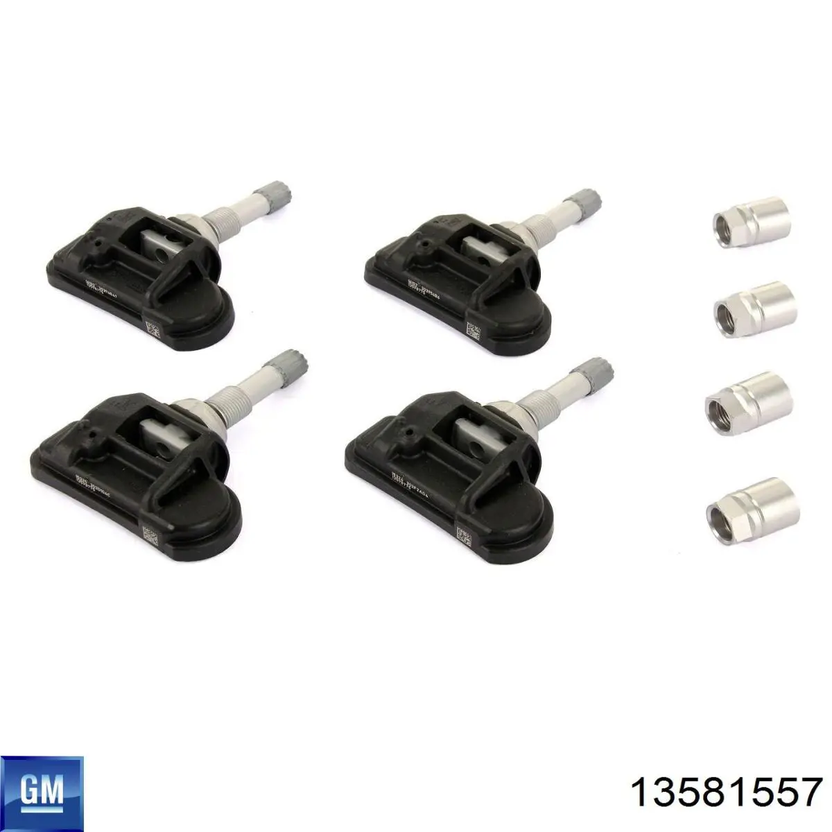 Купити 13581557 General Motors 