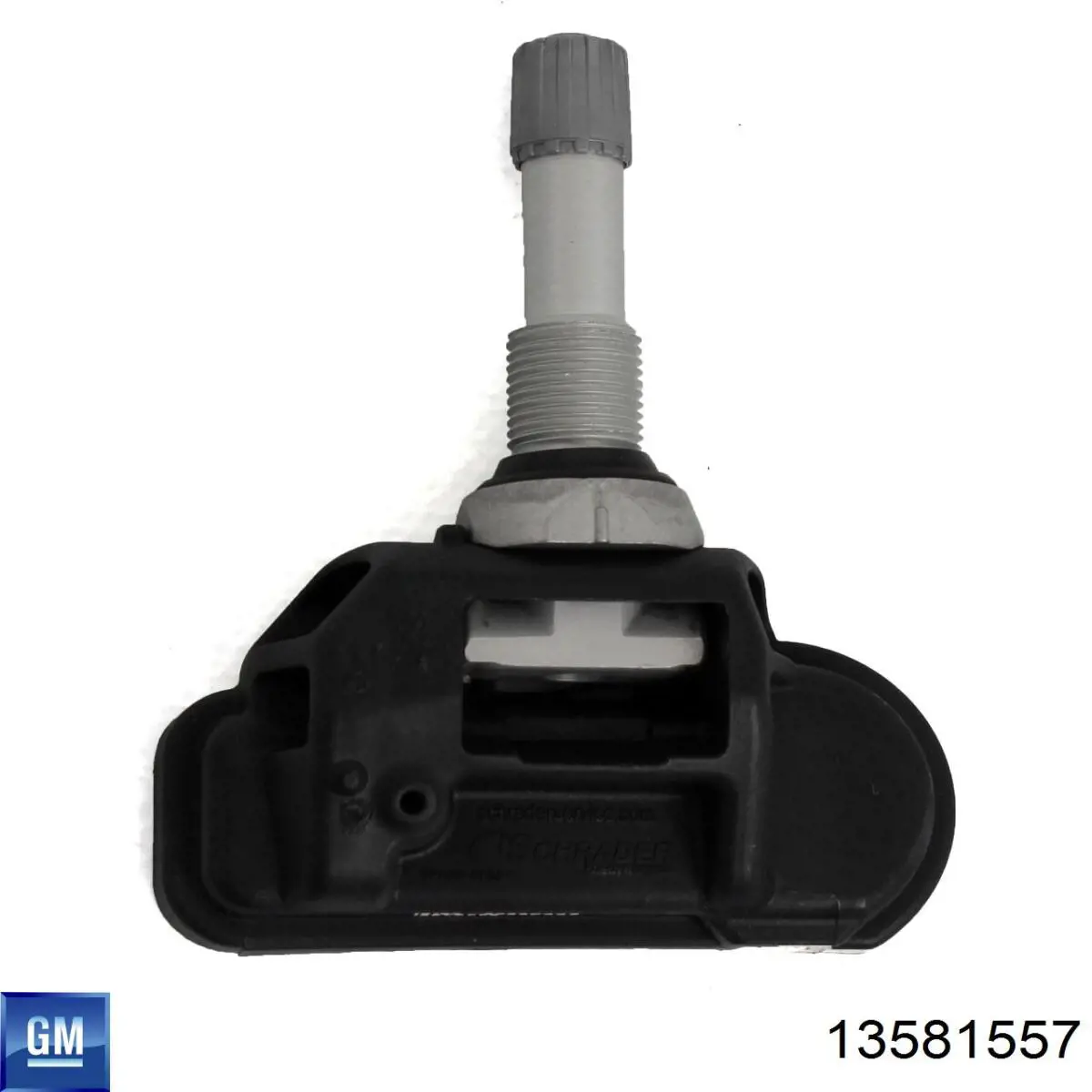 13581557 General Motors 