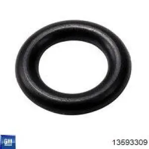 13593309 General Motors Електробензонасос