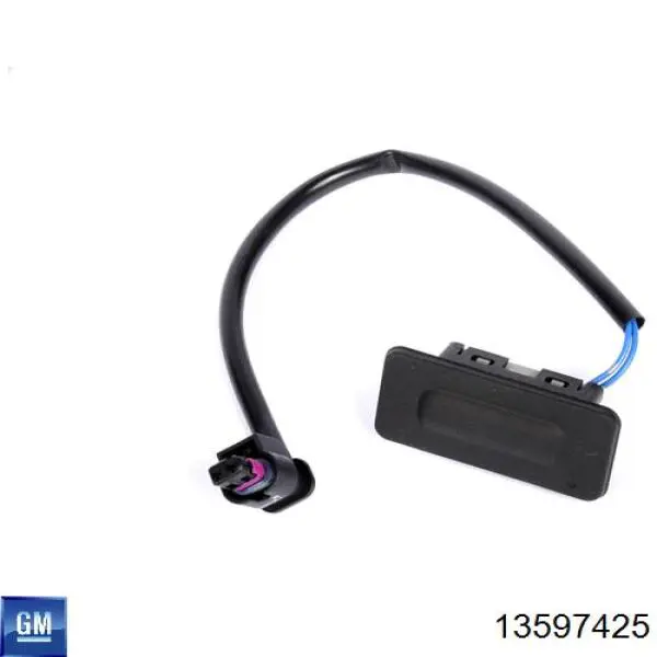 13597425 General Motors 