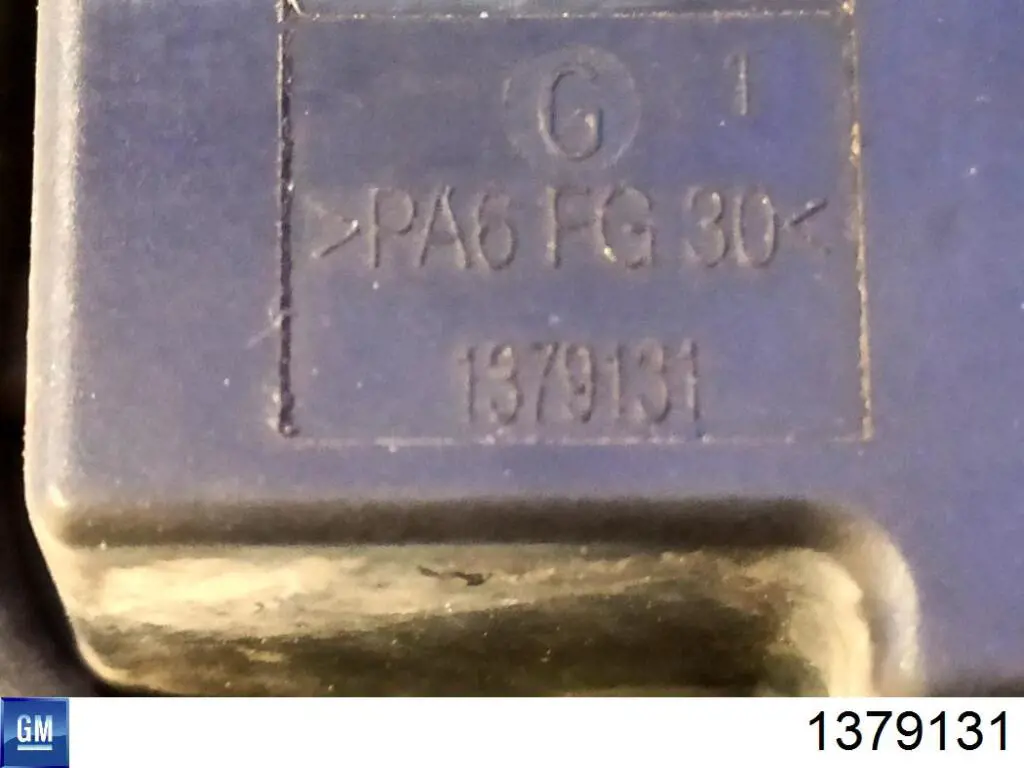 1379131 General Motors 