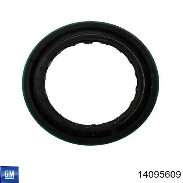 Купити 19255 SKF Сальник роздавальної коробки, первинного вала