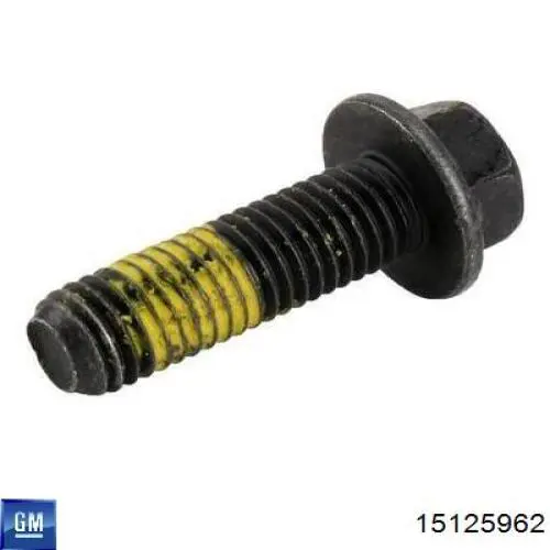 Поршень супорта гальмівного, переднього General Motors 15125962 ціна, від 12.95 USD