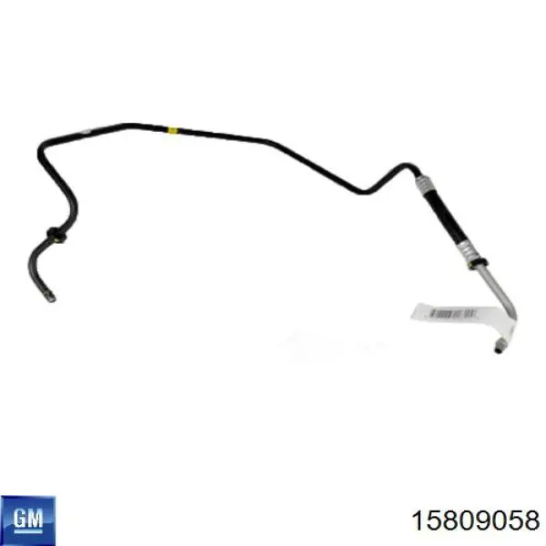Купити 15809058 General Motors 