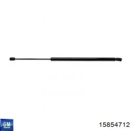 Амортизатор двері задньої General Motors 15854712 ціна, від 12.10 USD