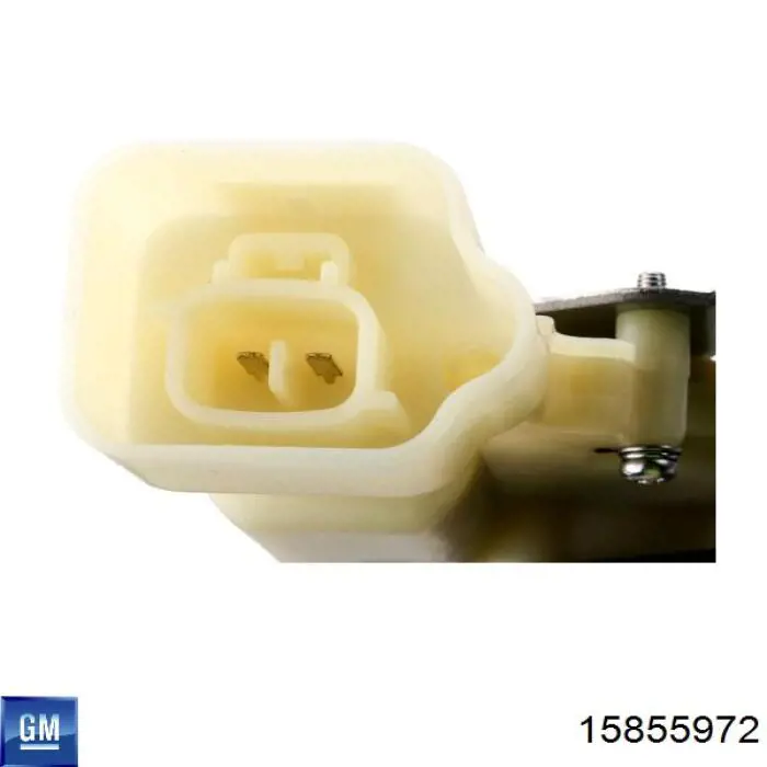15855972 General Motors 