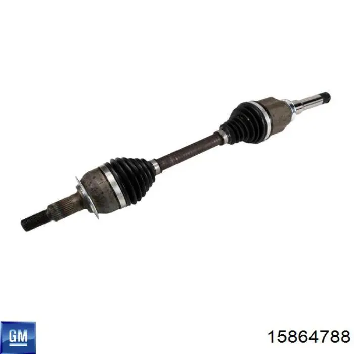 15864788 General Motors 