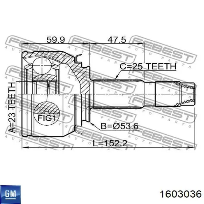 Купити 1603036 General Motors Шарнір приводу зовнішній