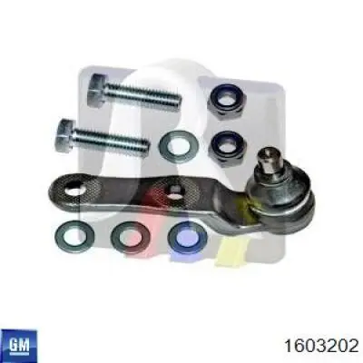 Кульова опора, нижня 1603202 General Motors