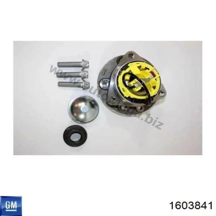 1603841 General Motors Маточина (передня)