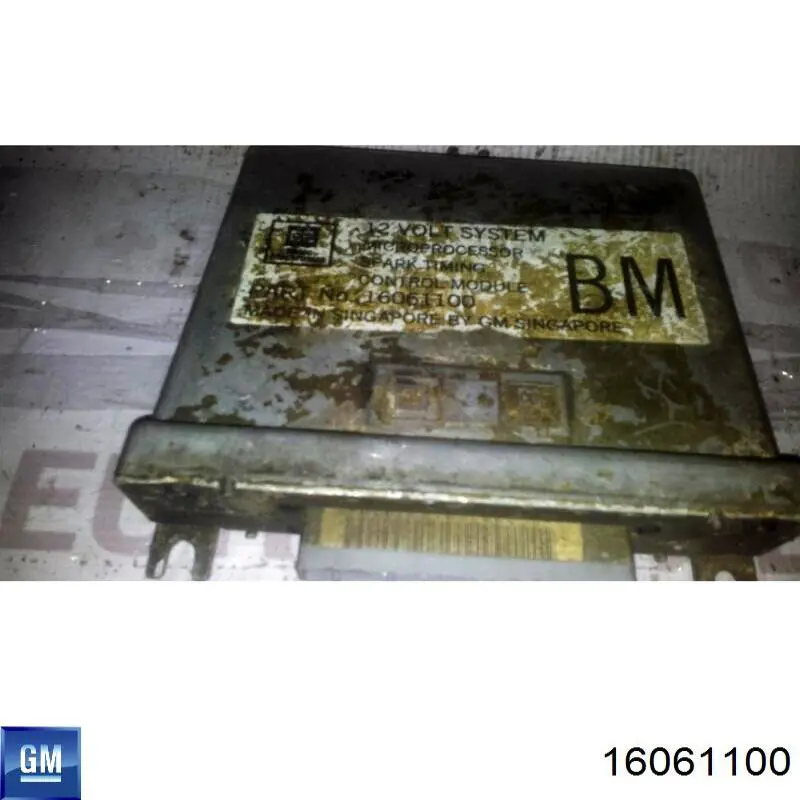 Купити 16061100 General Motors 