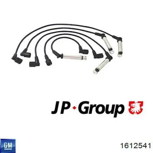 1612541 General Motors Проводи високовольтні