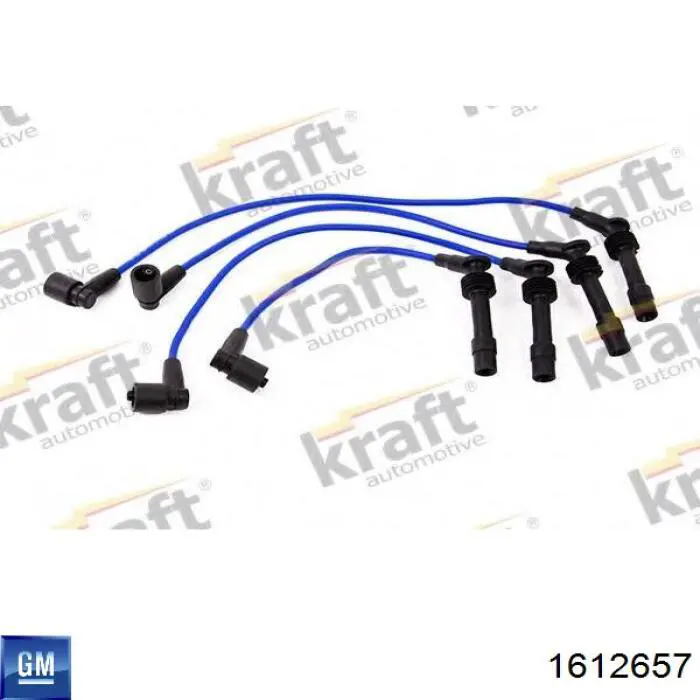 Дроти запалювання General Motors 1612657 ціна, від 25.69 USD