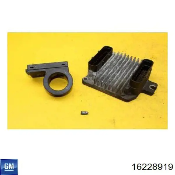 16228919 General Motors Блок електронного управління