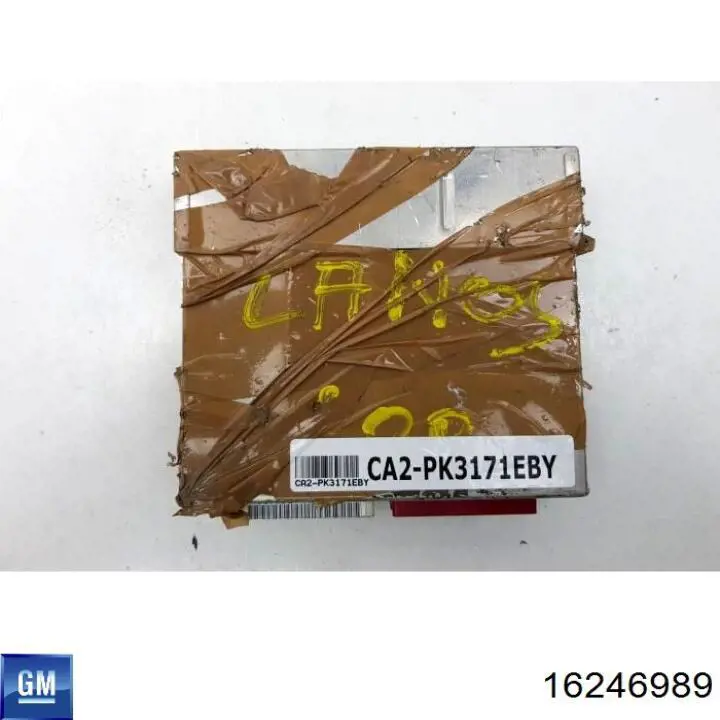  16246989 General Motors