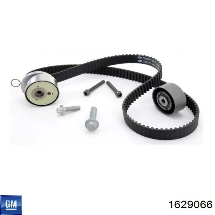 Ремкомплект ГРМ General Motors 1606314