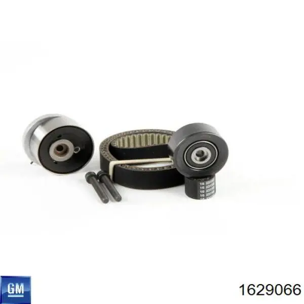 Комплект ГРМ 1629066 General Motors