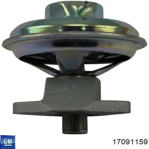 Клапан EGR General Motors 17091159 ціна, від 4.86 USD