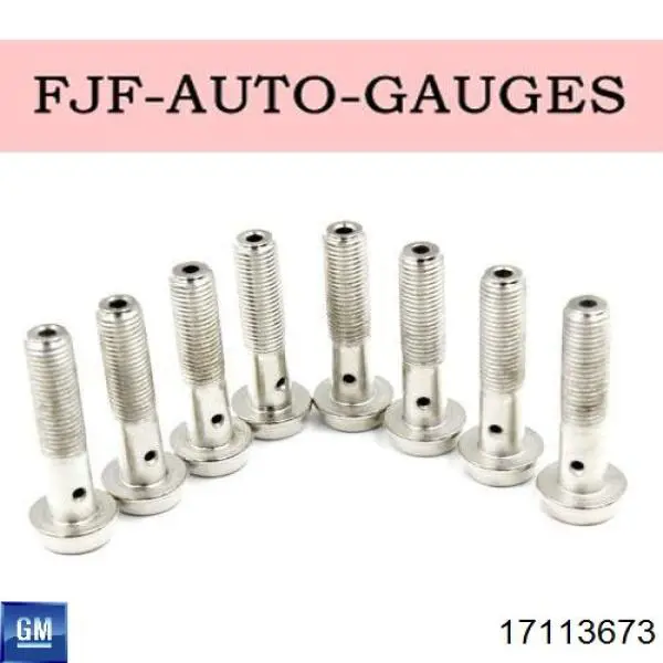 Електронний блок керування двигуном 17113673 General Motors
