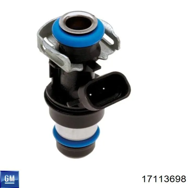 Форсунка паливна General Motors 17113698 ціна, від 38.00 USD