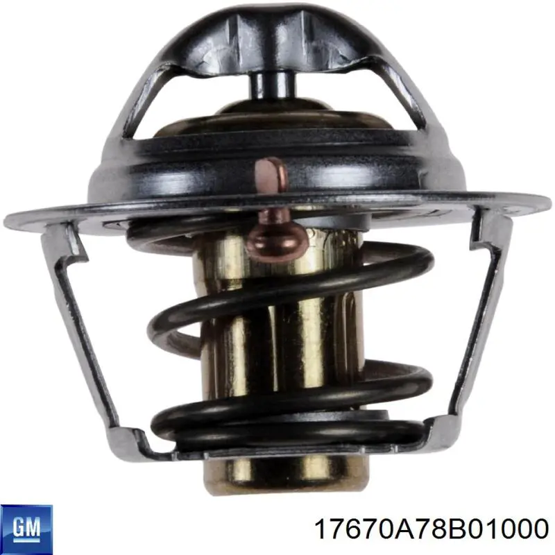 17670A78B01000 General Motors Авто термостат