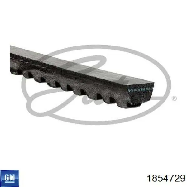Купити 1854729 General Motors Ремінь генератора