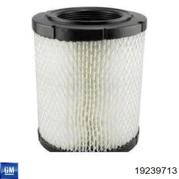 Купити 19239713 General Motors Автомобільний фільтр повітря