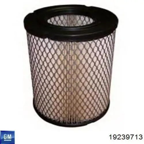 Елемент повітряного фільтра General Motors 19239713 ціна, від 13.67 USD